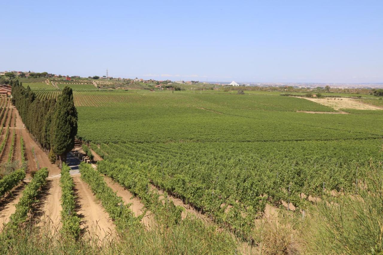 Tenuta Di Pietra Porzia Monte Porzio Catone Exteriér fotografie