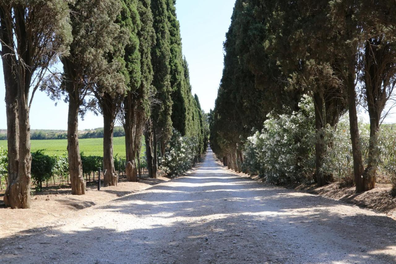 Tenuta Di Pietra Porzia Monte Porzio Catone Exteriér fotografie
